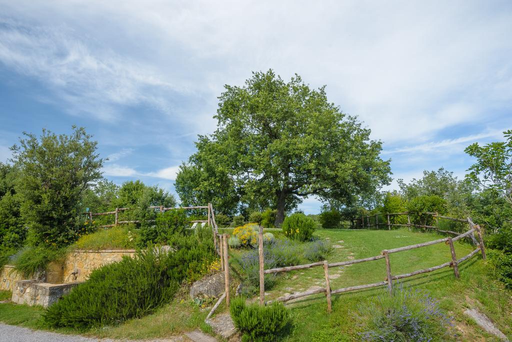 Agriturismo Cerreto Pienza Exterior photo