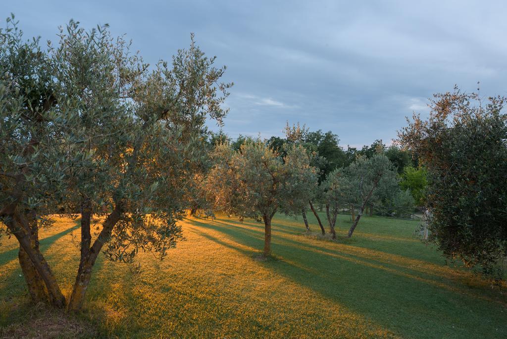 Agriturismo Cerreto Pienza Exterior photo